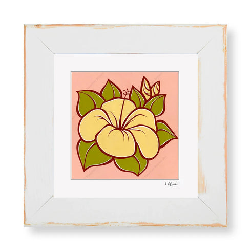 HIBISCUS